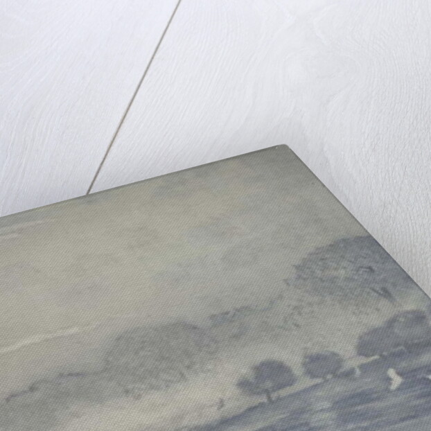 Three buffalo, 2016 by Angus Hampel