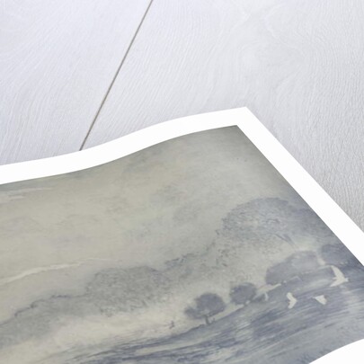 Three buffalo, 2016 by Angus Hampel