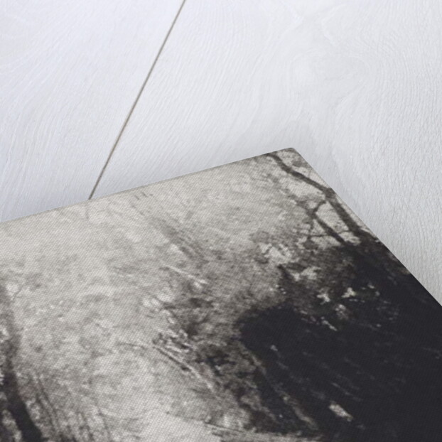 Hallelujah, 2016 by Angus Hampel