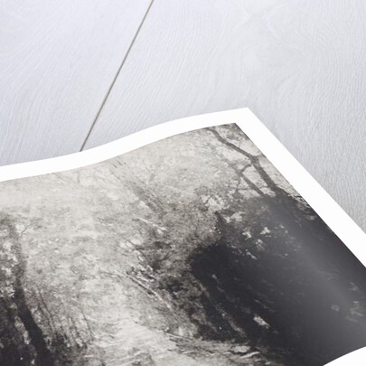 Hallelujah, 2016 by Angus Hampel