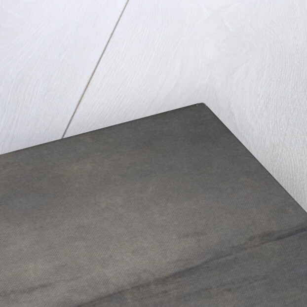 Soaring high, 2016 by Angus Hampel