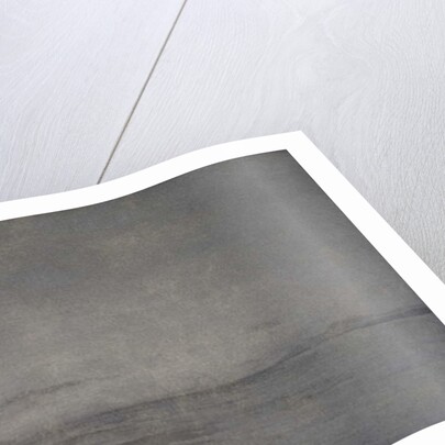 Soaring high, 2016 by Angus Hampel