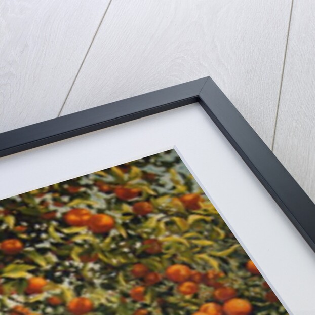 Silence under the oranges II, 2012 by Angus Hampel