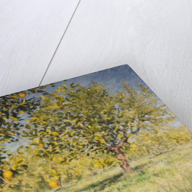 Impossibility of a lemon tree, 2013 by Angus Hampel