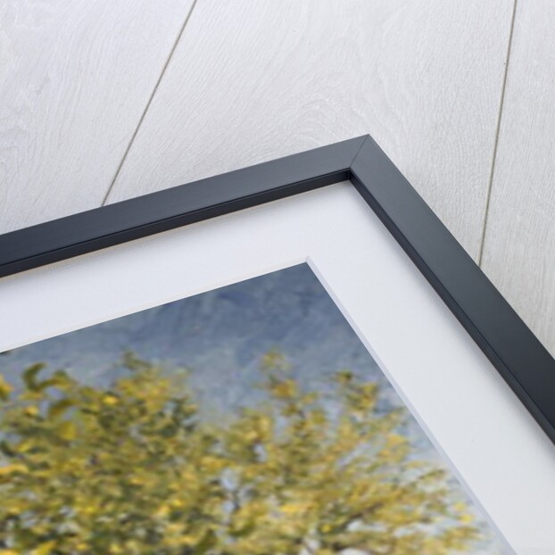 Impossibility of a lemon tree, 2013 by Angus Hampel