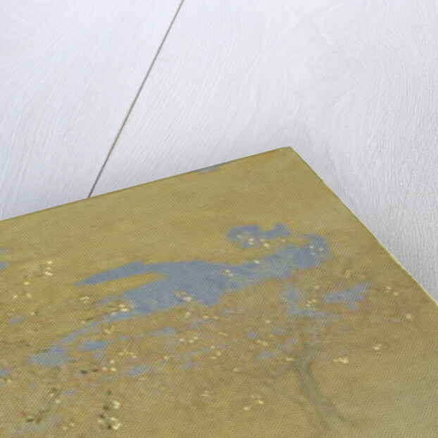 Happiness, 2014 by Angus Hampel