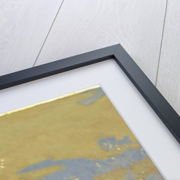 Happiness, 2014 by Angus Hampel