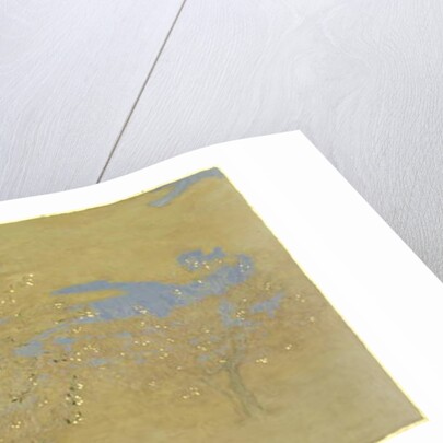 Happiness, 2014 by Angus Hampel