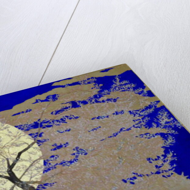 Midnight glow, 2018 by Angus Hampel