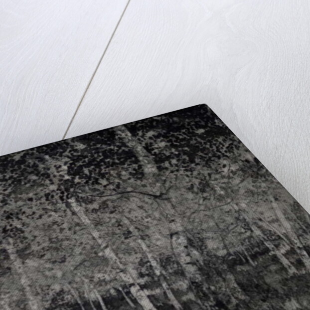 Our secret, 2018 by Angus Hampel