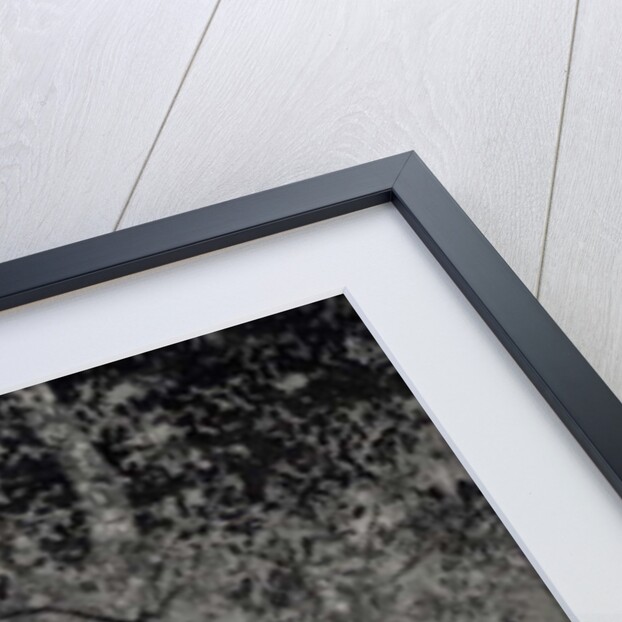 Our secret, 2018 by Angus Hampel