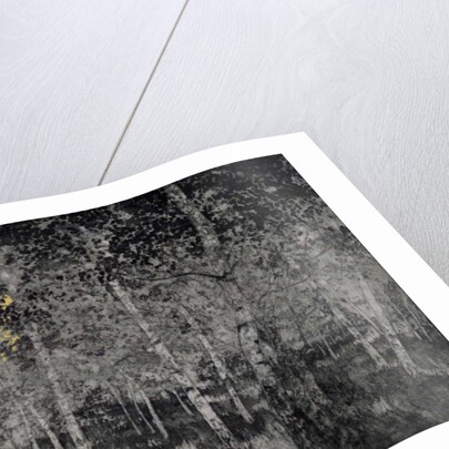 Our secret, 2018 by Angus Hampel