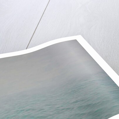 Whispers in the mist, 2019 by Angus Hampel