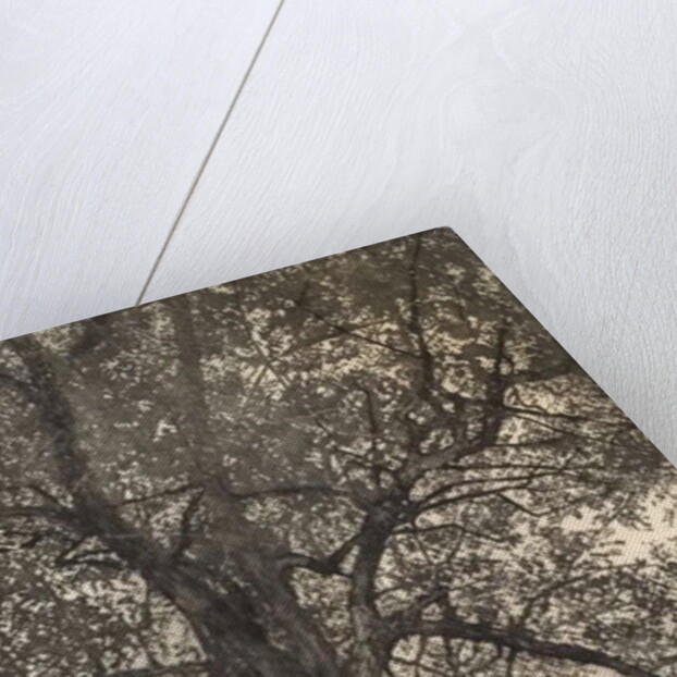 Portrait of my mother, 2018 by Angus Hampel