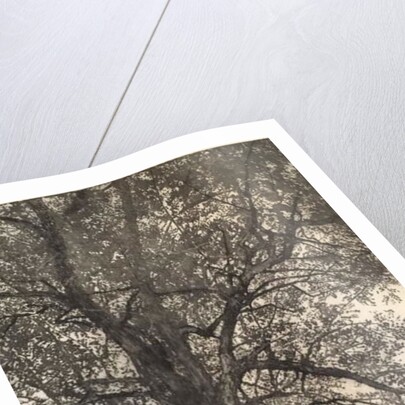 Portrait of my mother, 2018 by Angus Hampel