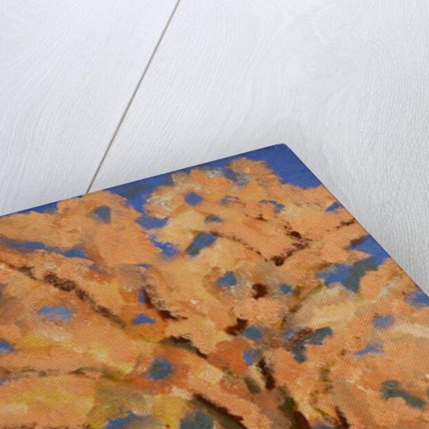 Cherry blossom, Spring London, 2016 by Cosima Duggal