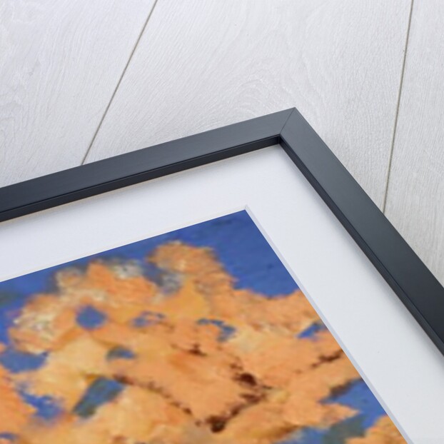 Cherry blossom, Spring London, 2016 by Cosima Duggal