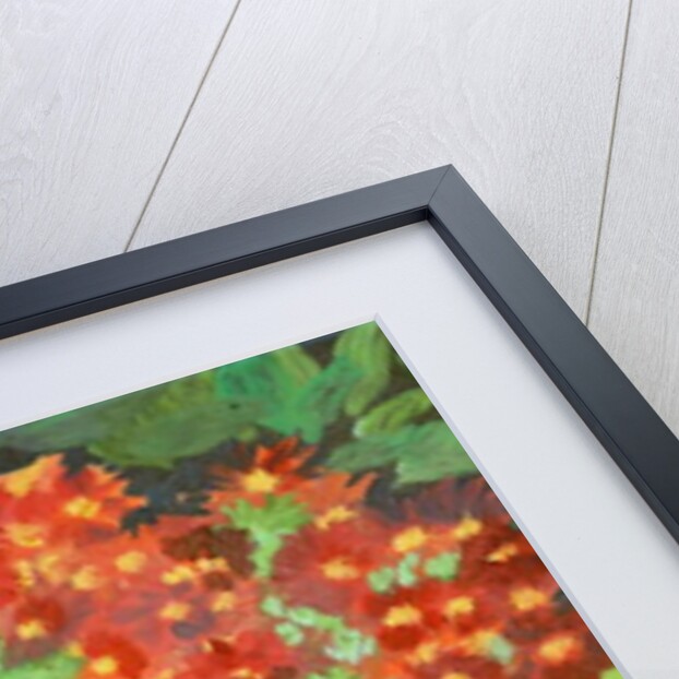 Cornish flowers, 2014 by Cosima Duggal