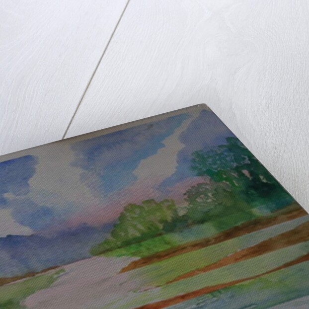 River, Dittsham, Devon by Cosima Duggal