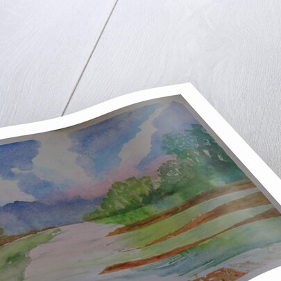 River, Dittsham, Devon by Cosima Duggal