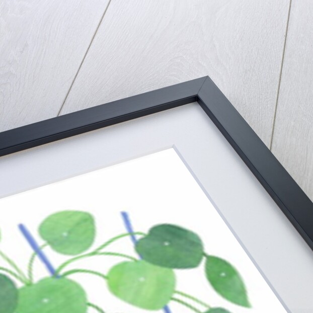 Pilea plant, 2017 by Elizabeth Rider