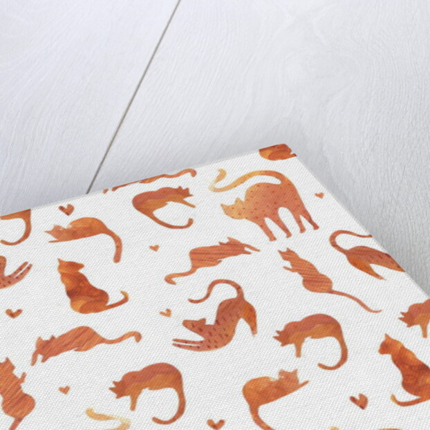 Ginger Tomcats, 2017 by Elizabeth Rider