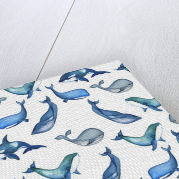 Whales, 2017 by Elizabeth Rider