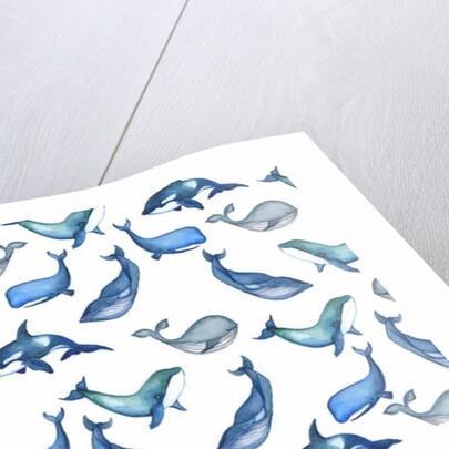 Whales, 2017 by Elizabeth Rider