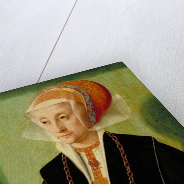 Portrait of a Lady, c.1539 by Bartholomaeus the Elder Bruyn