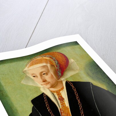 Portrait of a Lady, c.1539 by Bartholomaeus the Elder Bruyn
