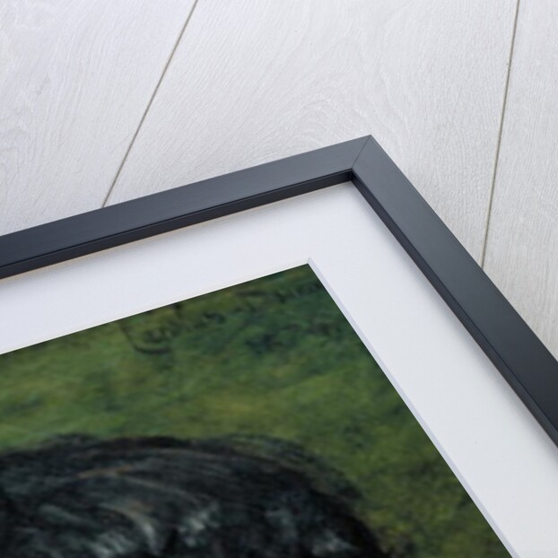 Portrait of Philippe Burty, 1874 by Charles Emile Auguste Carolus-Duran