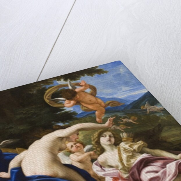 The Death of Adonis, c.1683-85 by Il Baciccio