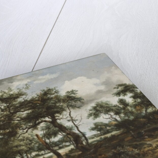 A Pond in the Forest, 1668 by Meindert Hobbema