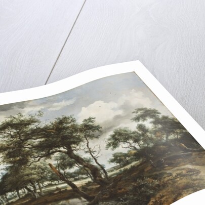 A Pond in the Forest, 1668 by Meindert Hobbema