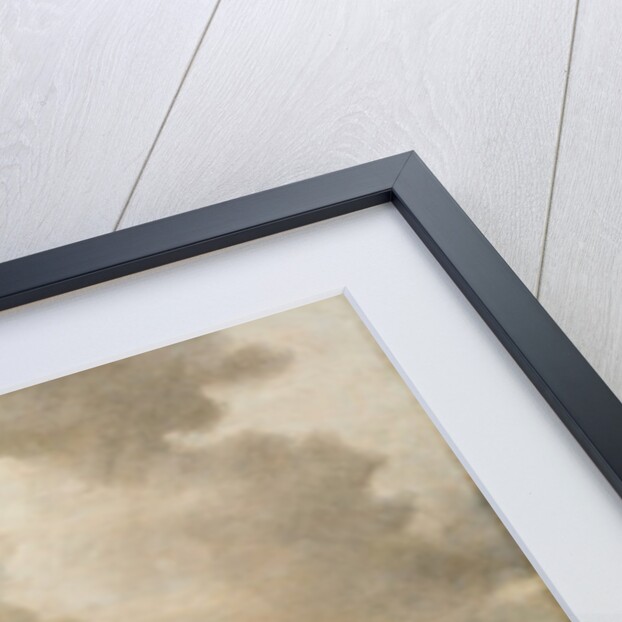 Landscape with Dunes, 1647 by Jan Josephsz van Goyen