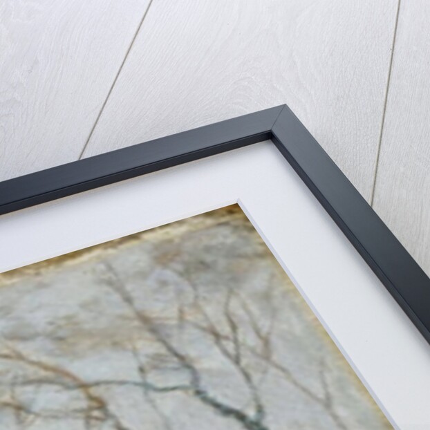 Snow Storm by Anton Mauve