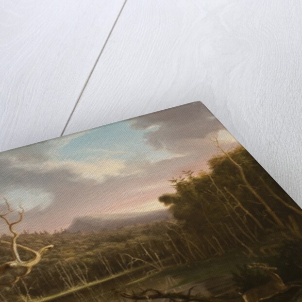 Lake with Dead Trees by Thomas Cole