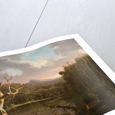 Lake with Dead Trees by Thomas Cole