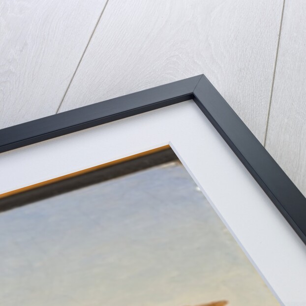 The Temple of Neptune, Paestum, 1847 by John Frederick Kensett