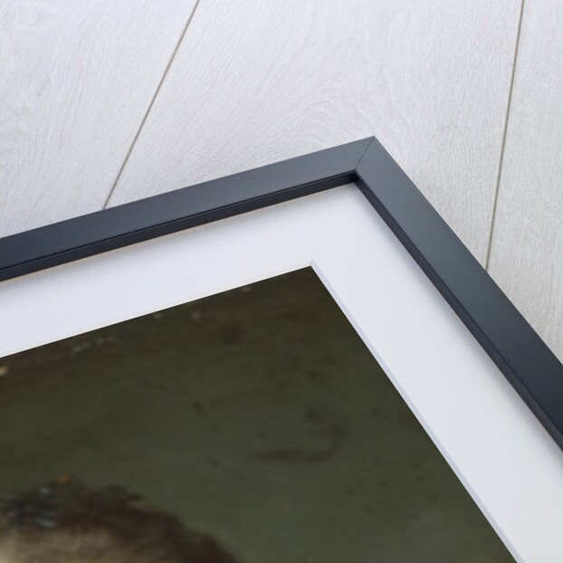 Portrait of a lady, c.1750 by Jean-Marc Nattier