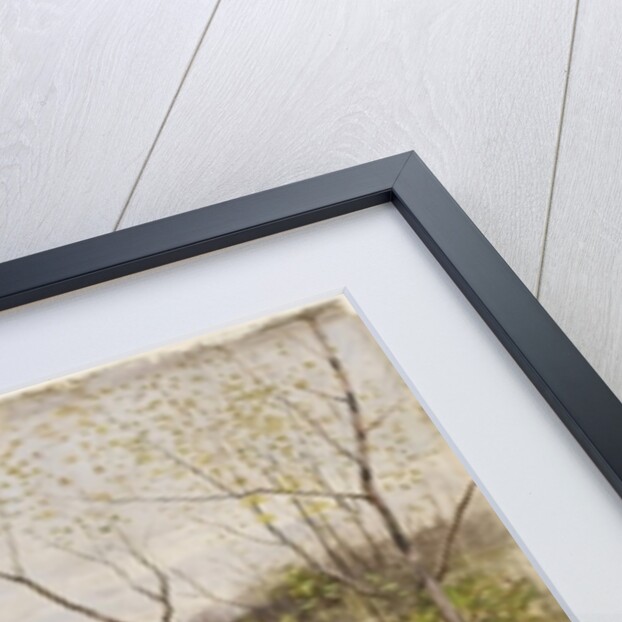 Sheep by Francois Pieter ter Meulen