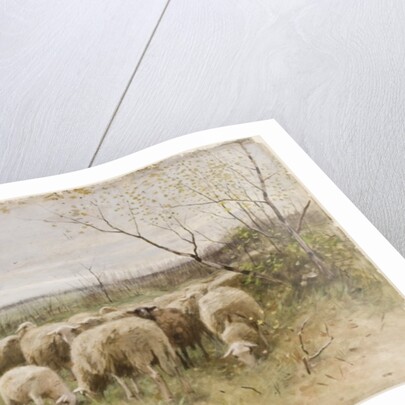 Sheep by Francois Pieter ter Meulen
