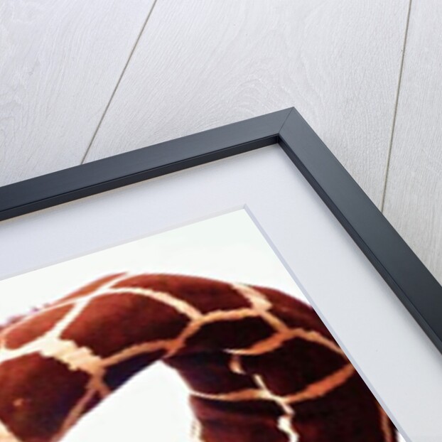 Giraffe, Sarara, 2017 by Eric Meyer