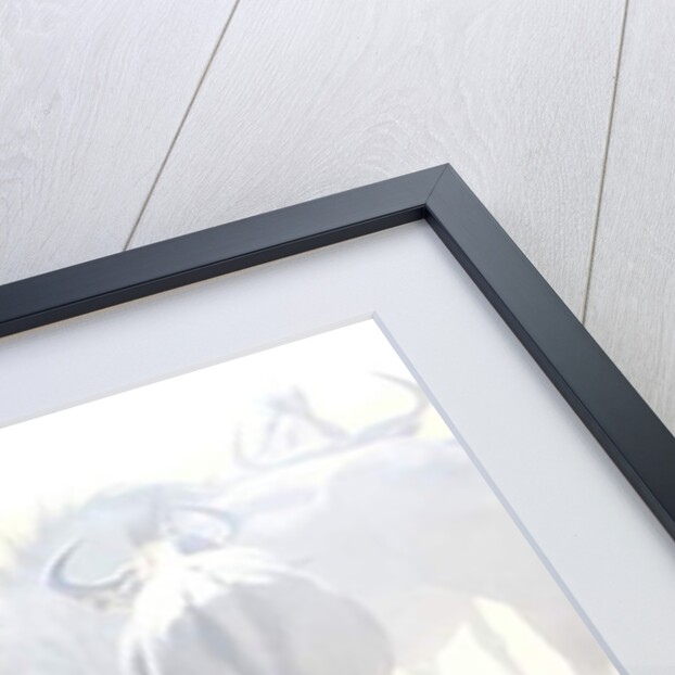 Wildebeest, Etosha, 2017 by Eric Meyer