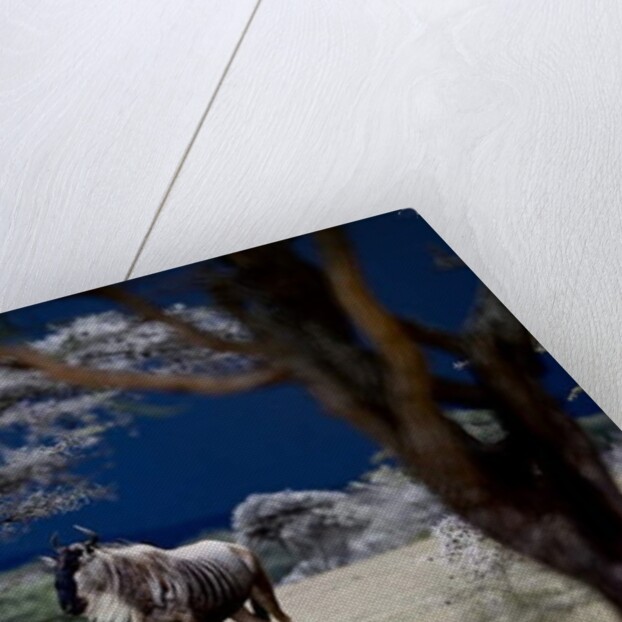 Storm Coming, 2018 by Eric Meyer