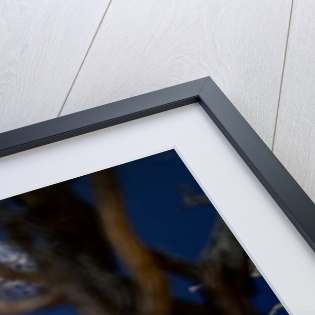 Storm Coming, 2018 by Eric Meyer