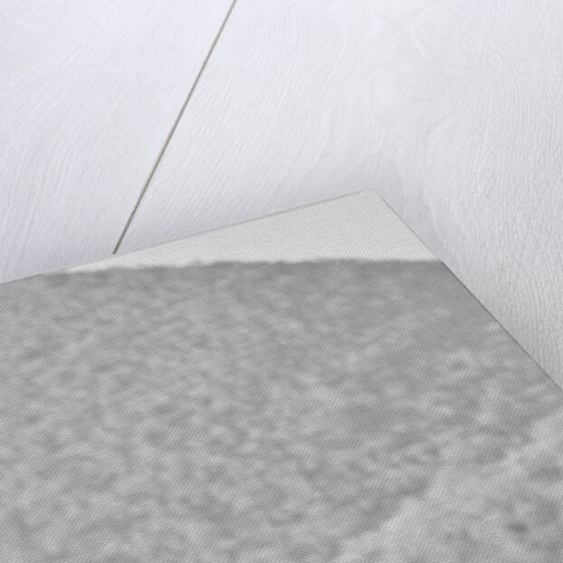 Zebra, Chyulus, 2018 photograph) by Eric Meyer