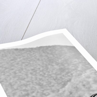 Zebra, Chyulus, 2018 photograph) by Eric Meyer