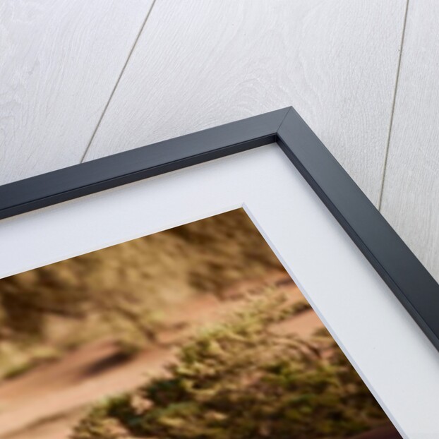 Oryx, Namib Desert, 2017 by Eric Meyer