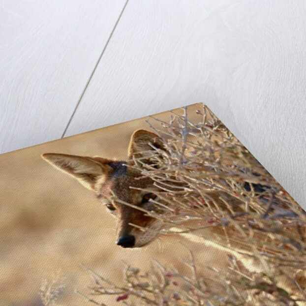 I Can See You, 2017 by Eric Meyer